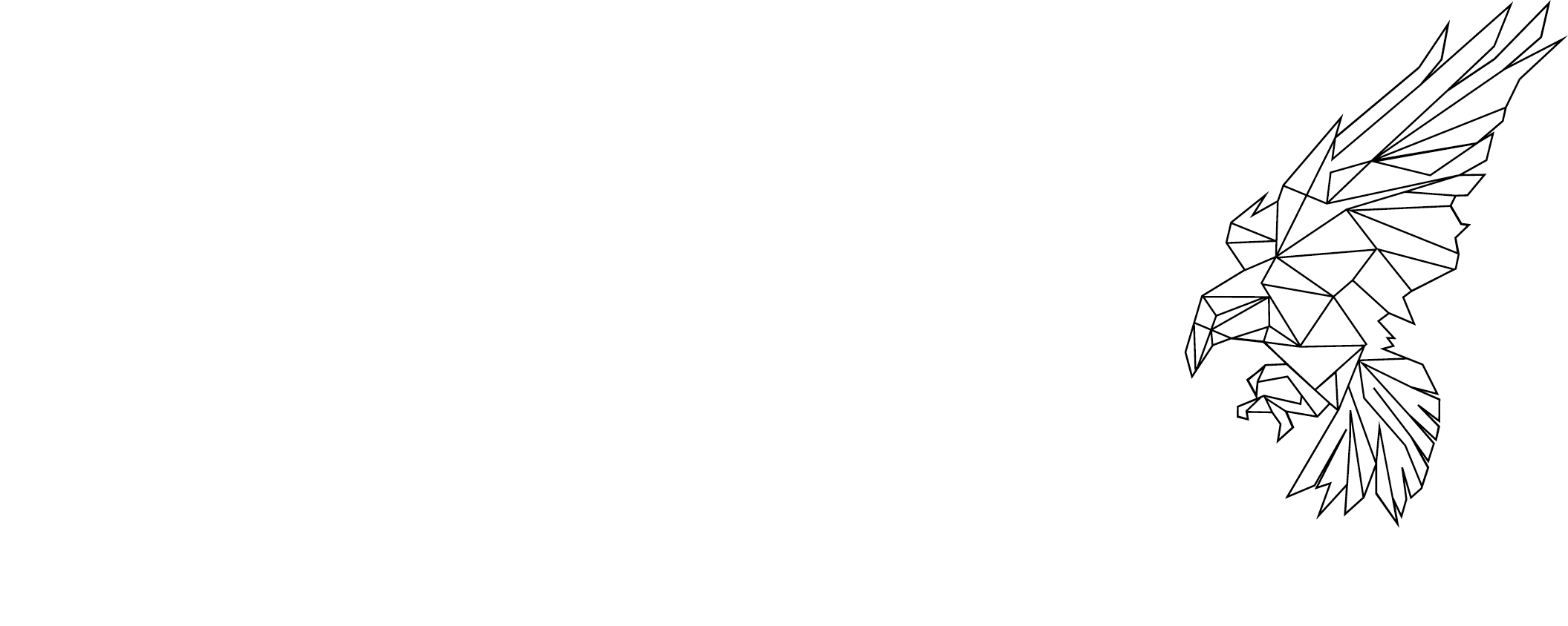 iVP Ltd.